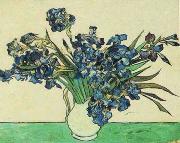 Vincent Van Gogh Vase with Irises oil painting reproduction